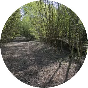 Partington railway station - 