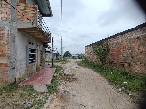 Pasaje Las Palmeras.