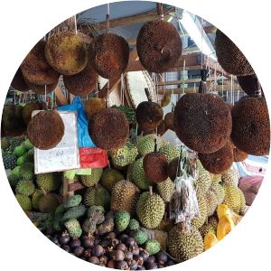 Pasar Besar Kota Kinabalu