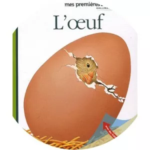 Pascale de Bourgoing