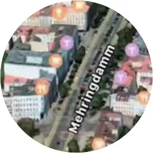 Pashanim - Musical artist