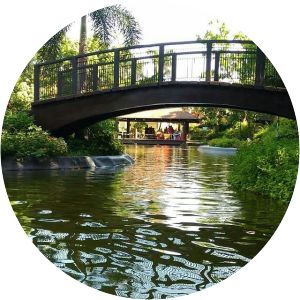 Pasig Rainforest Park photograph