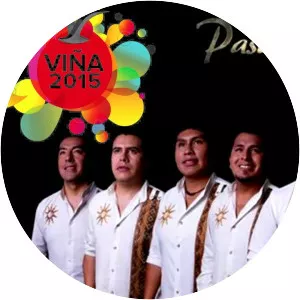 Pasión Andina - Musical artist