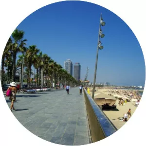 Passeig Marítim de la Barceloneta