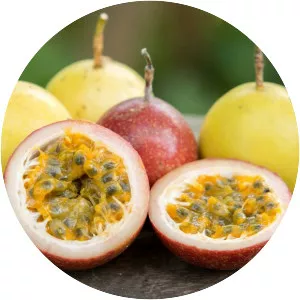 Passion fruit - 