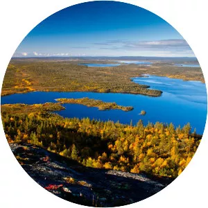 Pasvik Nature Reserve - 