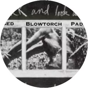 Pat Ward Williams - American photographer