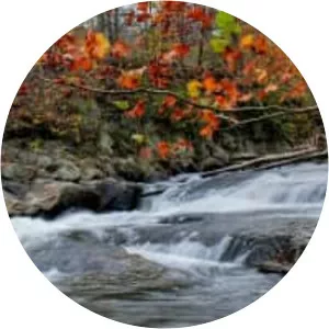 Patapsco River - River in Maryland