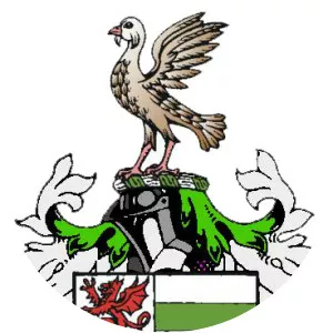 Patrick of Salisbury, 1st Earl of Salisbury