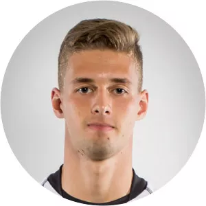 Patrick Plojer - Austrian footballer