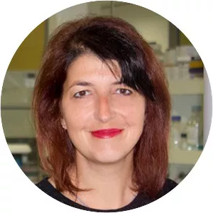 Patsie Polly - Researcher