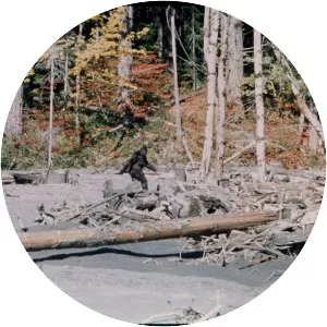 Patterson–Gimlin film