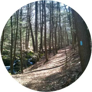 Paugussett Trail - 