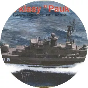 Pauk-class corvette