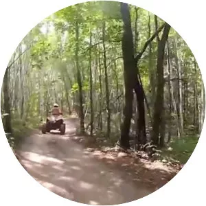 Paul Bunyan State Forest