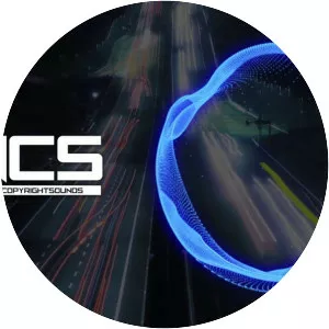 Paul Flint - Musical artist