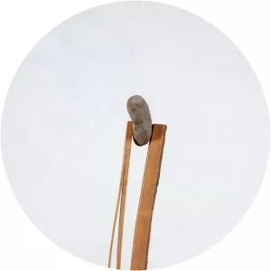 Paul Gees - Visual artist