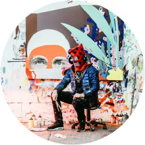 Paul Insect - Artist