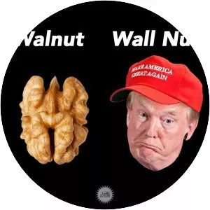 Paul Kandarian - Film actor