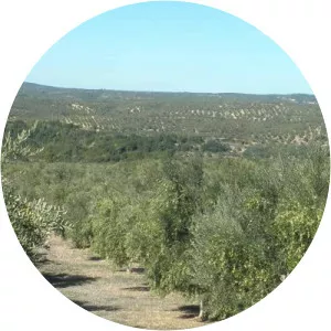 Paul Maddox - Musical artist