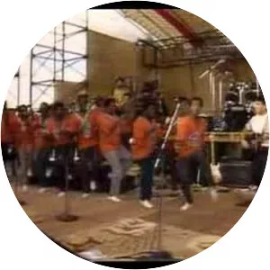 Paul Simon, Graceland: The African Concert