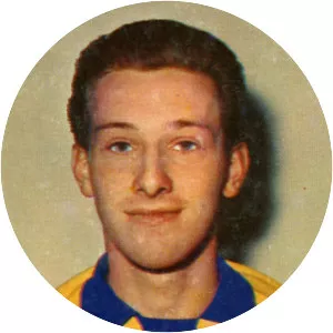 Paul van den Berg - Belgian footballer