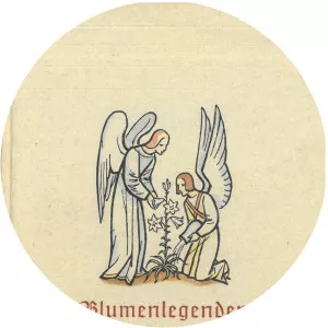 Paula Jordan - Illustrator