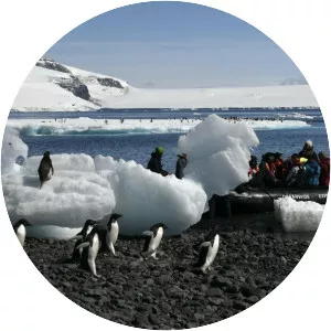 Paulet Island - Island in the Antarctic