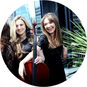 Pavão String Quartet - Musical artist