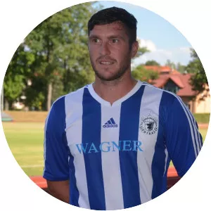 Pavel Fořt Musician