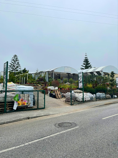 Pavijardim - Wholesale plant nursery in Portugal