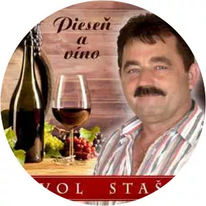 Pavol Stašák - Musical artist