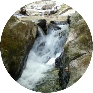 Pawling Nature Reserve - City park