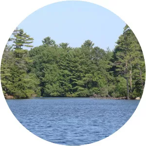 Pawtuckaway Lake - Reservoir in New Hampshire