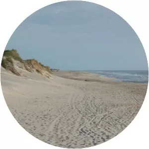 Pea Island - Island in North Carolina