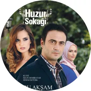 Peace StreetSince 2012