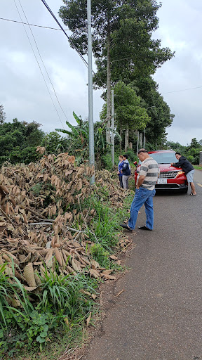 PEACEFUL HOUSE - Garden in Vietnam