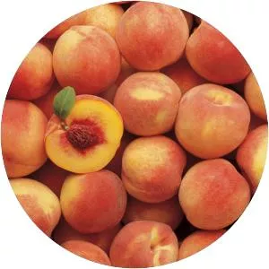 Peach