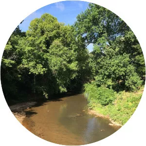 Peachtree Creek - Stream in Georgia