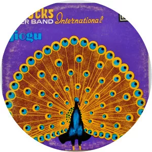 Peacocks Guitar Band International