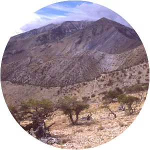 Pearl Peak - Summit in Nevada