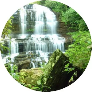 Pearson's Falls - Waterfall in North Carolina