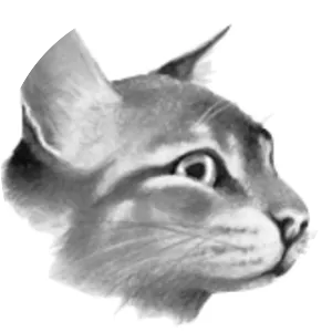 Pebble Heart - Fictional character