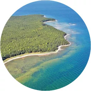 Pedassaar - Island in Salmistu, Estonia