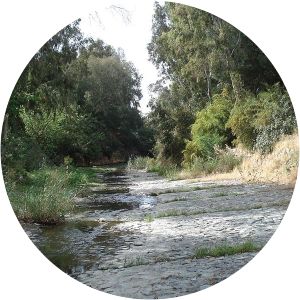 Pedieos river - River