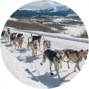 Pedigree Stage Stop Race photograph