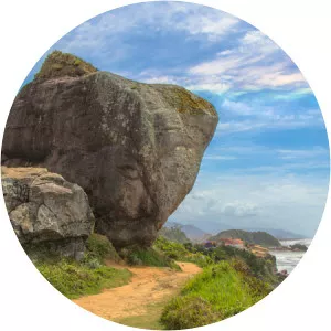 Pedra Do Cachorro Itanhaém