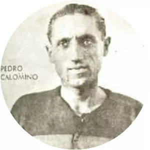 Pedro Calomino
