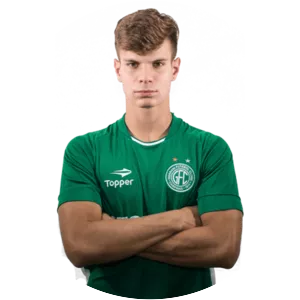 Pedro Henrique Acorsi Soares