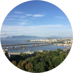 Pedro Ivo Campos Bridge - 